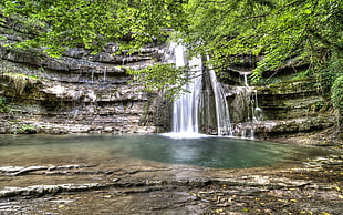 photo of waterfall surrounded by trees