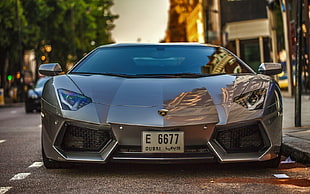 gray Lamborghini coupe, car, Lamborghini Aventador, Lamborghini, Dubai HD wallpaper