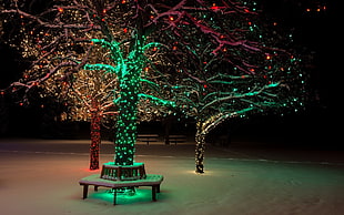 tree with green string lights in dim light
