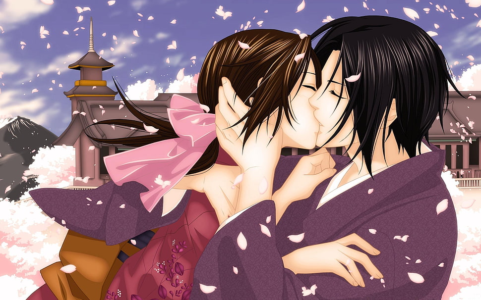 brown-haired woman and black-haired man anime character kissing HD wallpaper
