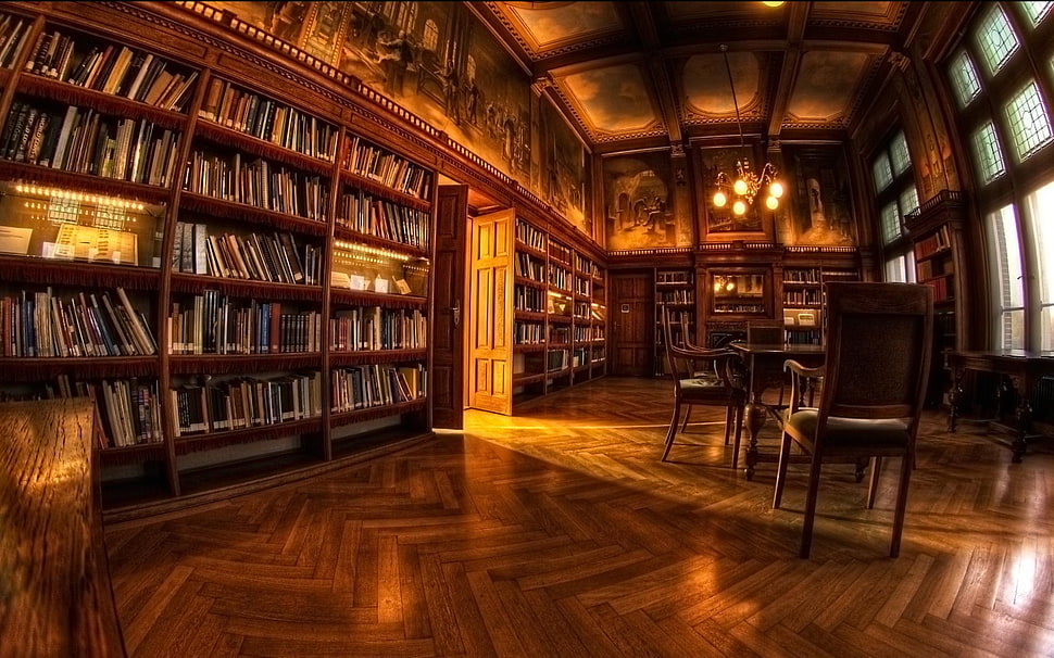 book booked on book shelves inside the library HD wallpaper