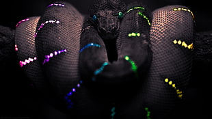 focus photography of black snake