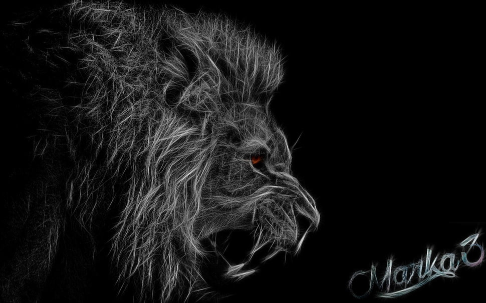 black and white lion artwork, lion HD wallpaper