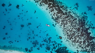 aerial view of person riding boat at the sea during day