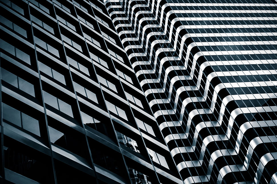black and white area rug, building, skyscraper, architecture HD wallpaper