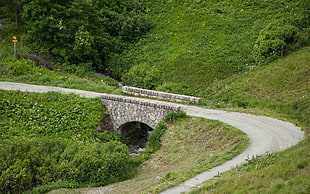 white concrete bridge and curved road at daytime