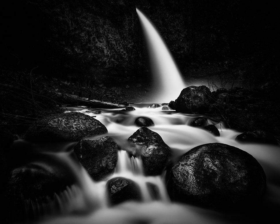 grayscale of running eater on black stone HD wallpaper