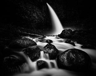 grayscale of running eater on black stone HD wallpaper