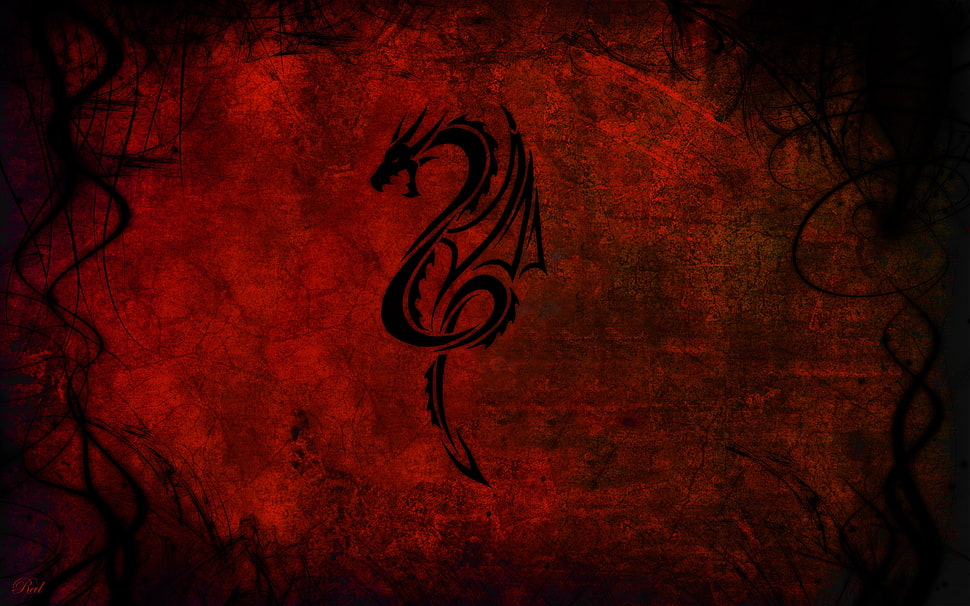 black and red Dragon illustration HD wallpaper