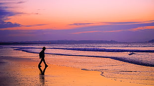 silhouette of child walking on beach HD wallpaper