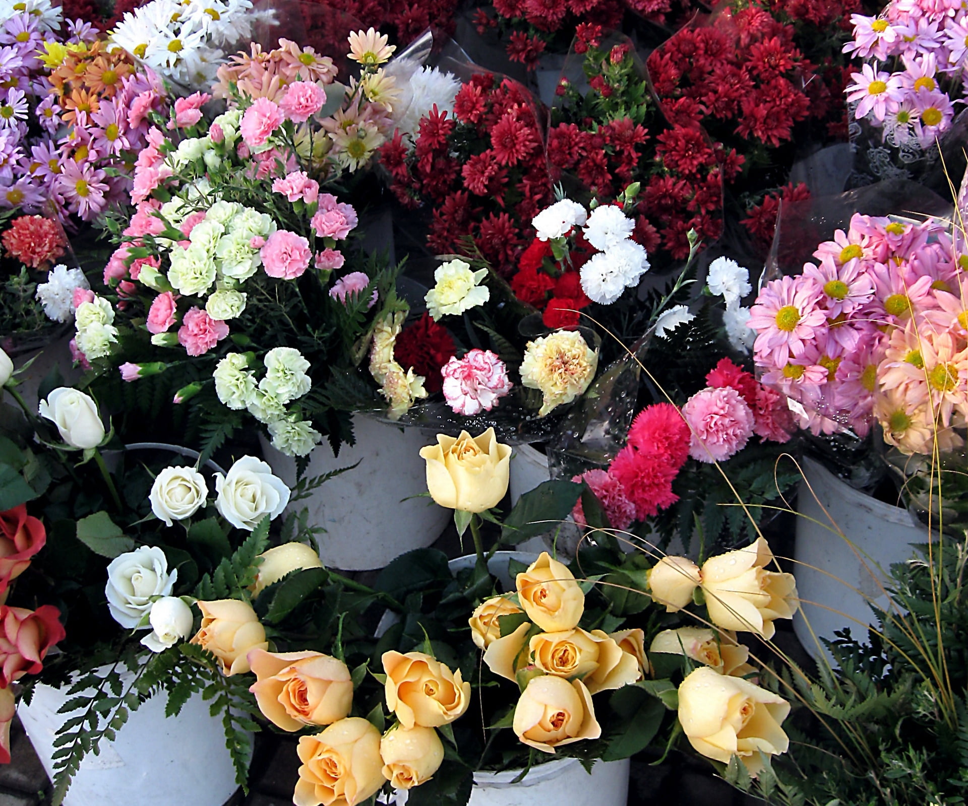 Сколько стоят гвоздики в цветочном магазине. Много букетов. Цветы много букетов. Свежесрезанные цветы. Много роз букет.