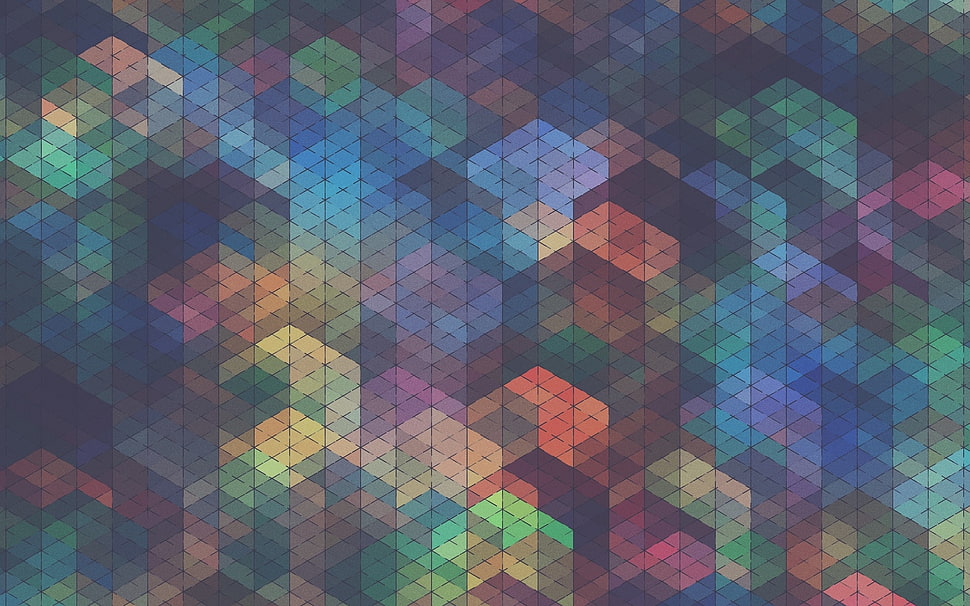 multicolored illustration HD wallpaper