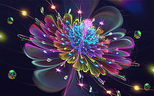 multi-colored flower digital wallpaper