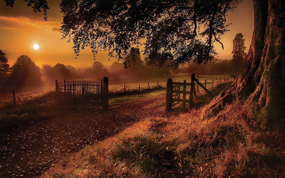 brown wooden fence during sunset HD wallpaper