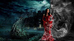 women's red long-sleeved gown HD wallpaper