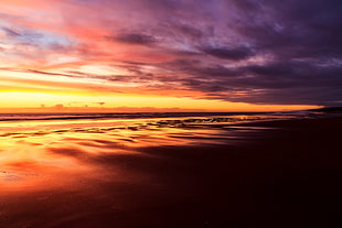 sandy beach under Sunset Sky photo HD wallpaper