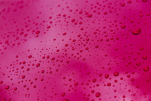 Surface,  Drops,  Pink HD wallpaper