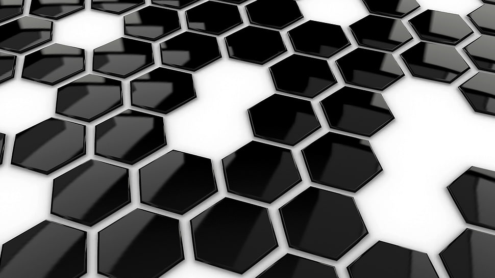 white and black honey comb panel HD wallpaper
