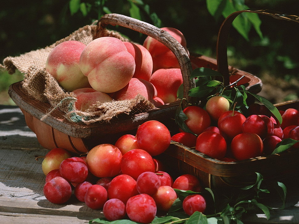 assorted fruits HD wallpaper