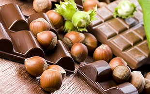 nuts with chocolates in closeup photography HD wallpaper