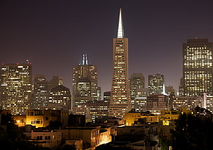 cityscape photography during night time, san francisco