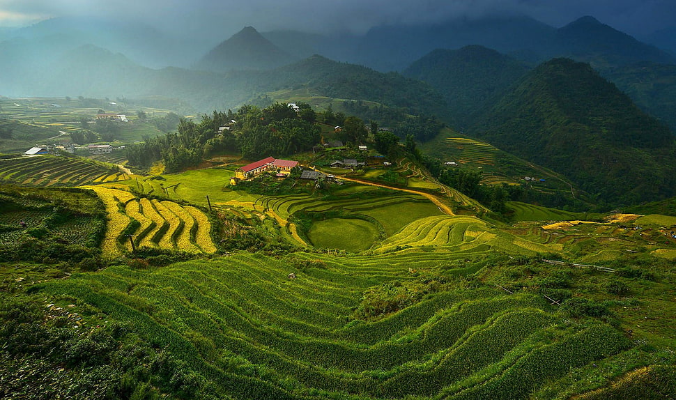 rice terraces, landscape, Vietnam, terraced field HD wallpaper