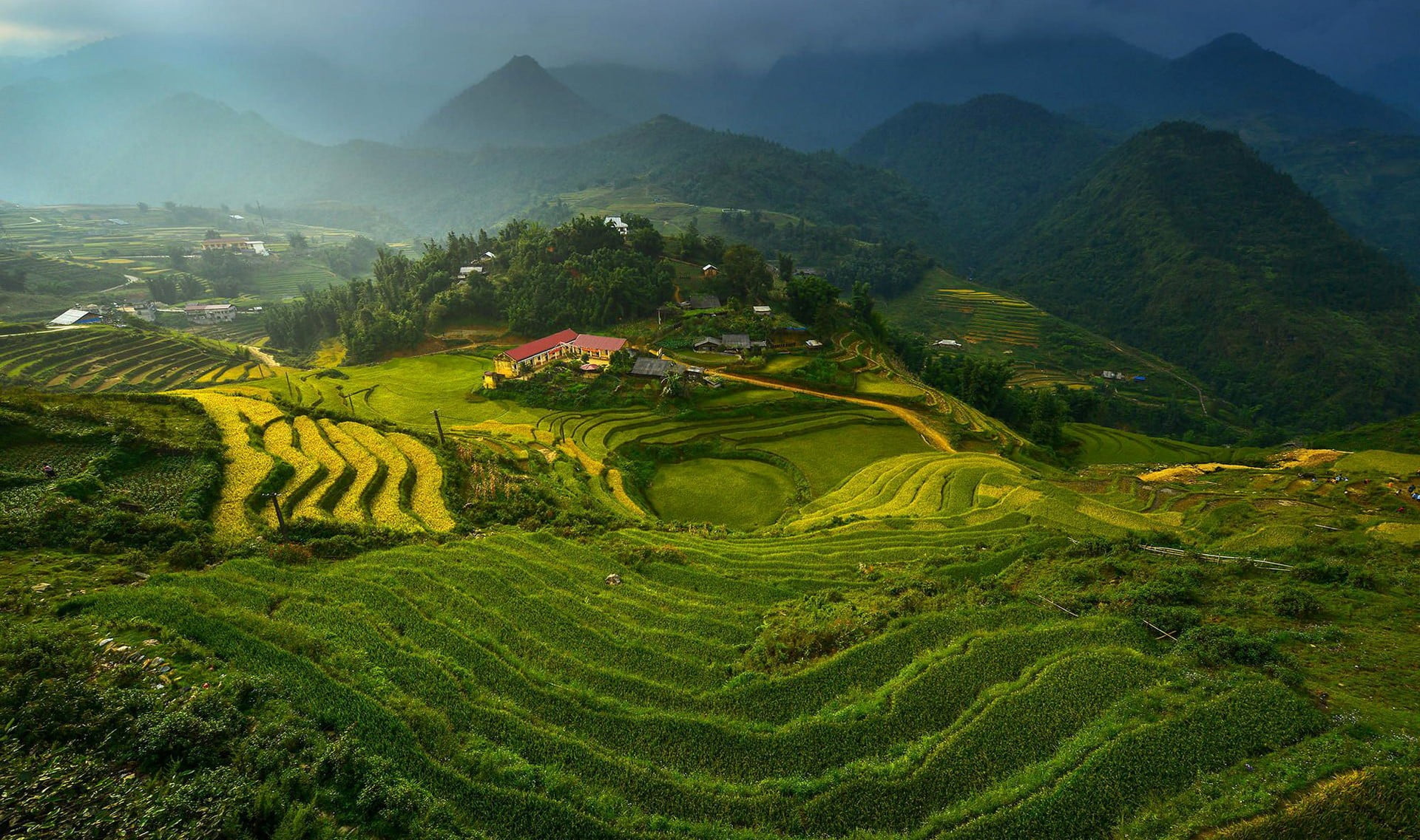 rice terraces, landscape, Vietnam, terraced field