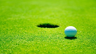 white golf ball, golf, green, field, sport  HD wallpaper