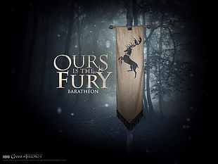 Game of Thrones Ours is the Fury Baratheon poster, Game of Thrones, A Song of Ice and Fire, sigils