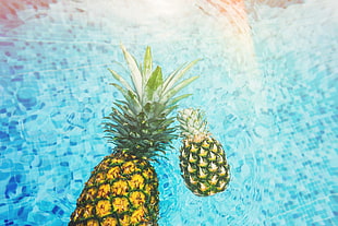 two pineapple on waters