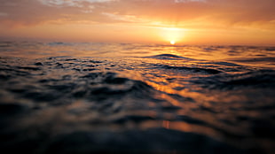 body of water during golden hour HD wallpaper