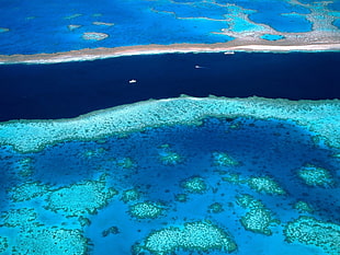 aerial view photography of Great Barrier Reef