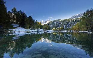 calm water and pine trees, nature, landscape, lake, snow
