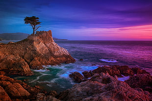rocky beach landscape during sunset, lone cypress HD wallpaper