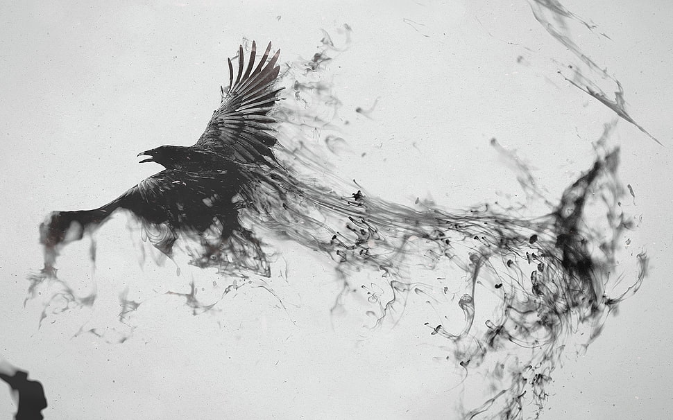 black falcon illustration, digital art, monochrome HD wallpaper