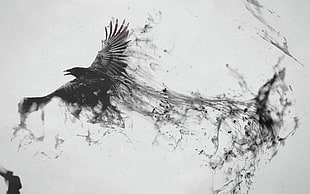 black falcon illustration, digital art, monochrome