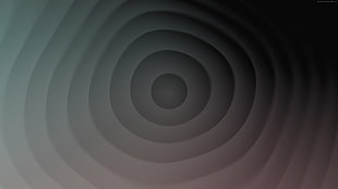 gray and black ombre digital wallpaper