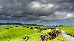 green plains, landscape, overcast, clouds, field HD wallpaper