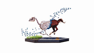 horse skeleton illustration, white background, digital art, animals, butterfly