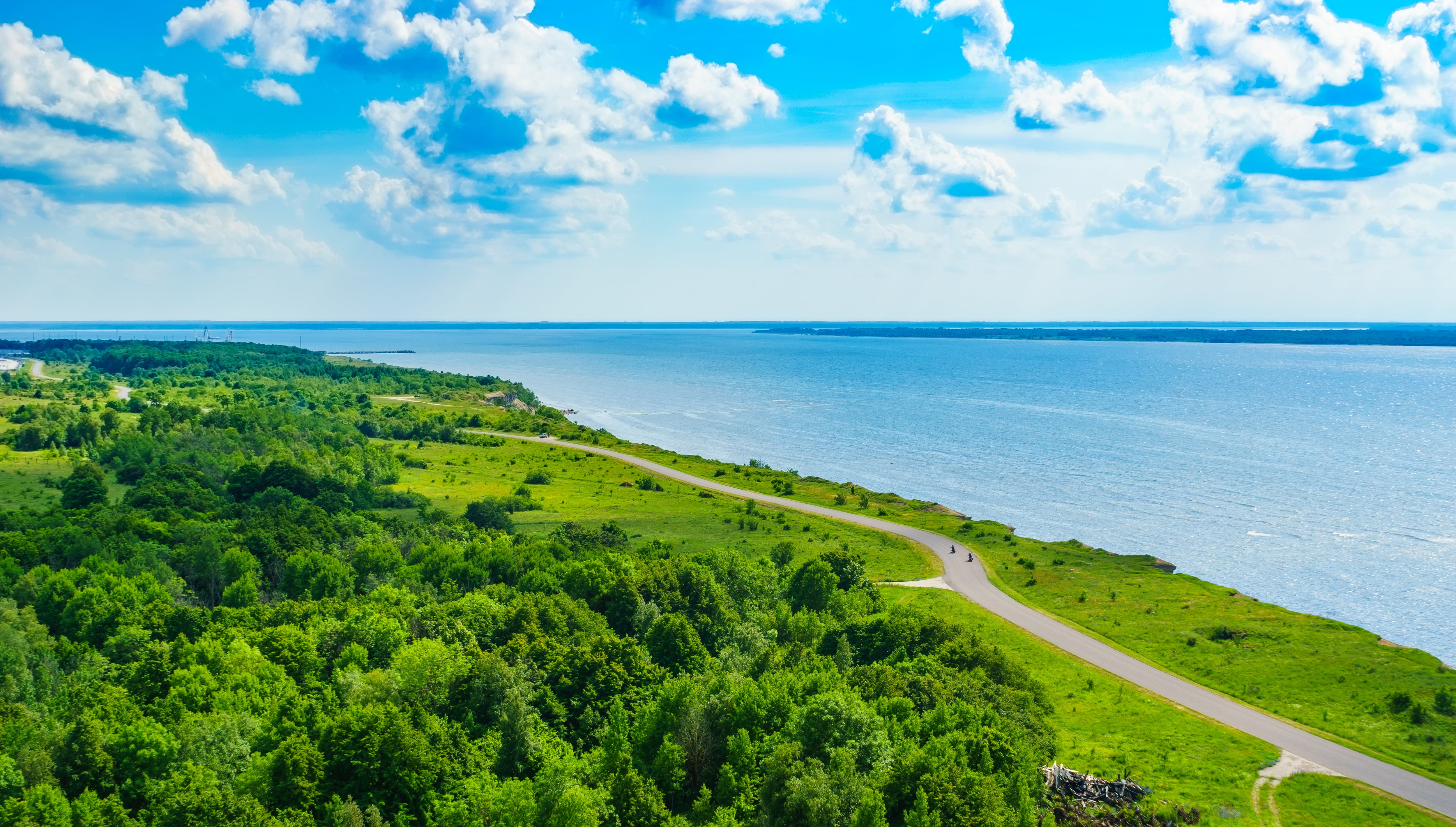 green trees near gray road in front of the sea