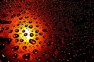 drops, rain, background, seasons HD wallpaper