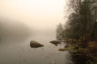 lake surrounded with fog