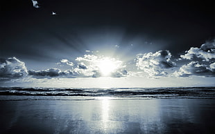 black and white photo of sea side beach