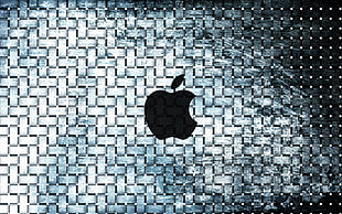 Apple Logo with white and teal background