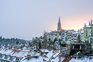 assorted buildings, Buildings, Roofs, Winter HD wallpaper