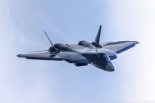 gray jet plant, aircraft, military aircraft, Sukhoi PAK FA, PAK FA