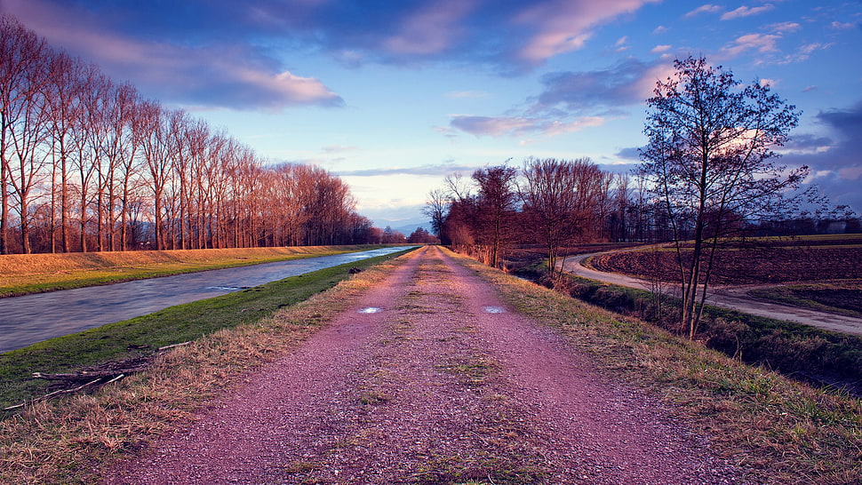 rough road during daytime HD wallpaper