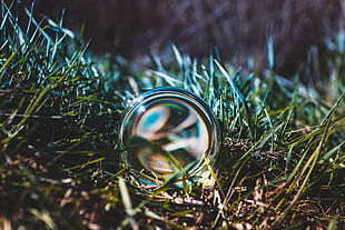 iridescent water dew, Ball, Glass, Grass
