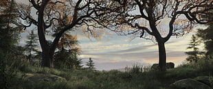 two bare trees, video games, landscape, trees, sky