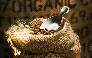 brown beans in brown sack with stainless steel scoop